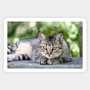 American Shorthair Cat Digital Painting Sticker